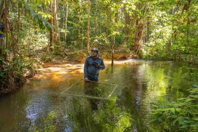 Processo seletivo do ICMBio oferece cadastro reserva para agente ambiental em Manicoré no Amazonas