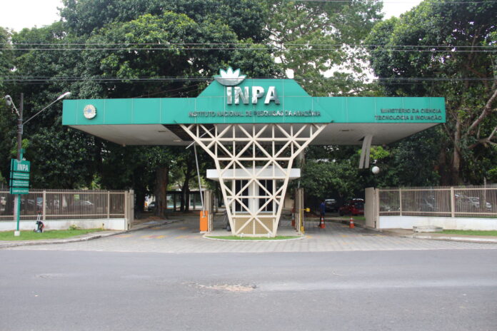 Participe da seleção para o doutorado em ecologia do Inpa.