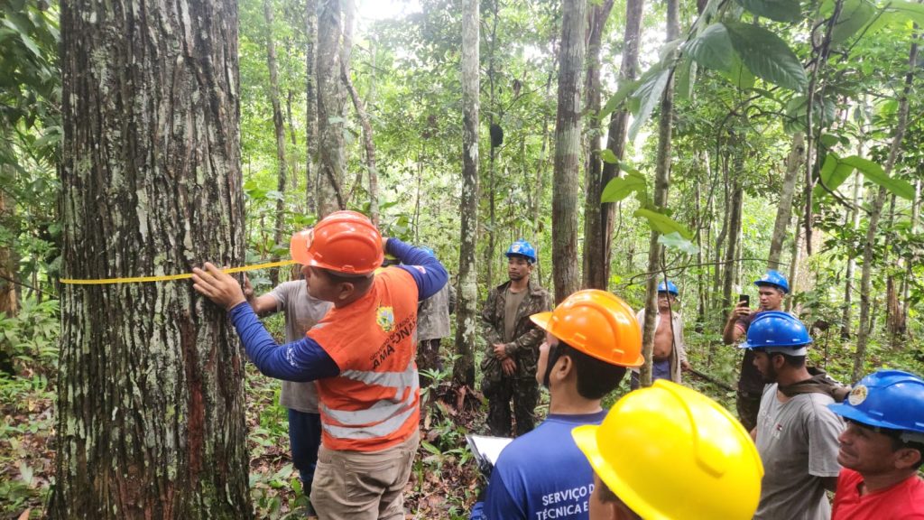 Idam promove a regularização e o manejo de castanha em Tefé. Ação na Resex Catuá-Ipixuna inclui emissão de documentos e capacitação para extrativistas.
