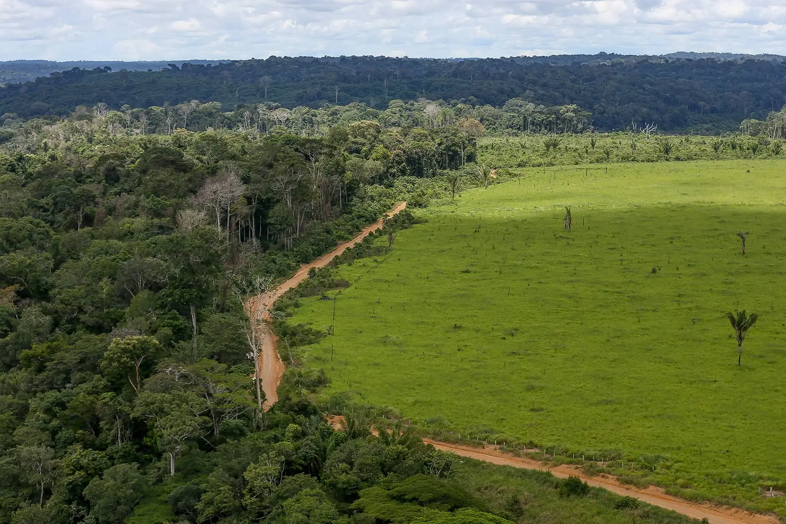 Regularização fundiária no Amazonas enfrenta preços defasados, risco de grilagem e falhas na fiscalização, aponta estudo do Imazon.