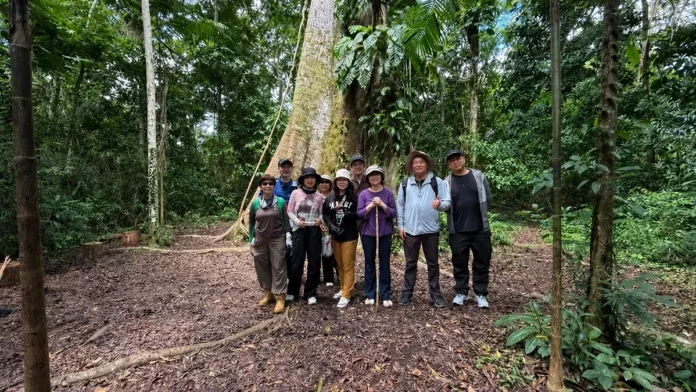 Turismo chinês impulsiona Manaus, que ganha destaque entre os destinos brasileiros mais procurados por visitantes da China.