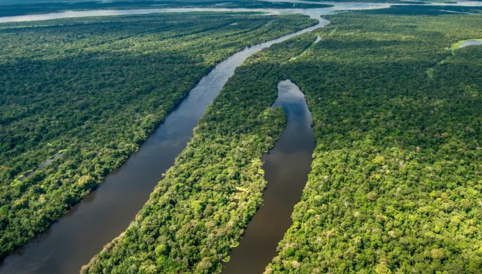 Amazônia se recupera de seca severa, mas Pantanal segue em alerta com pouca água e risco de novos eventos extremos.