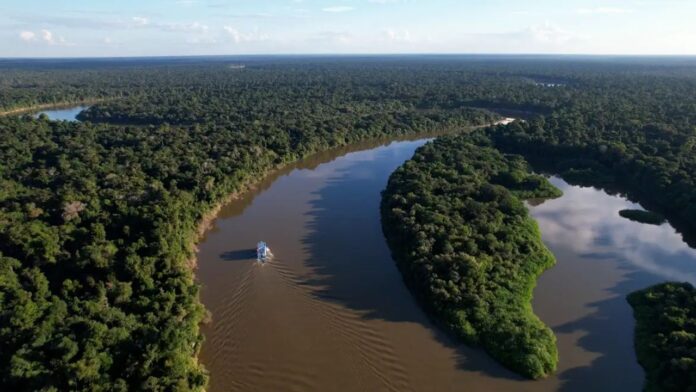 O desmatamento na Amazônia caiu 61,4% em maio de 2026.