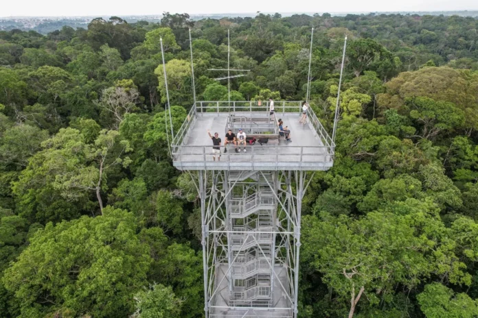 Semana do Meio Ambiente no Musa oferece oficinas, minicursos e exposições gratuitas sobre biodiversidade e conservação em Manaus.