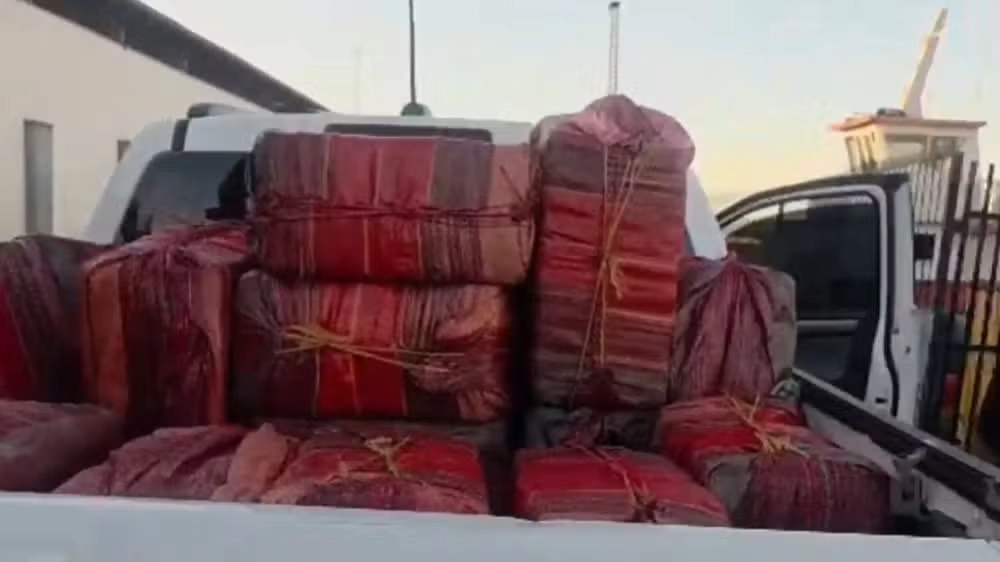 Cerca de 700 kg de skunk, armas e munições são apreendidos em área de mata na comunidade do Tupé, zona rural de Manaus.