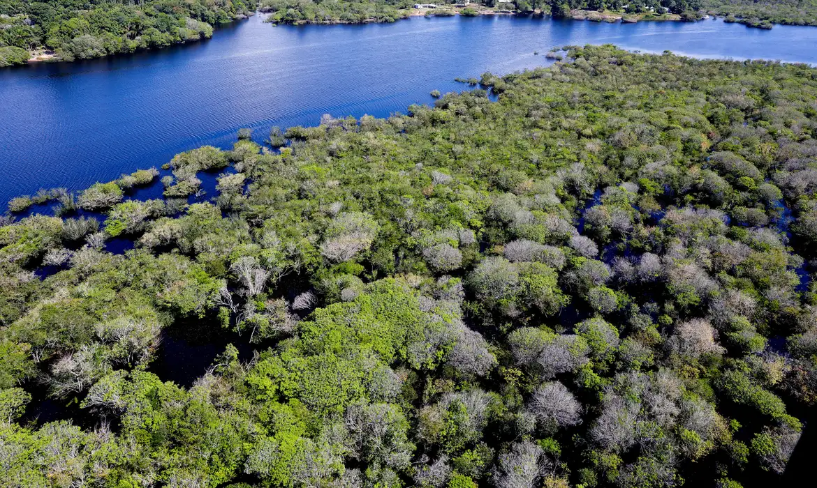 Alertas de desmatamento na Amazônia caem 35% em junho de 2026 e atingem a menor área registrada em 20 anos.
