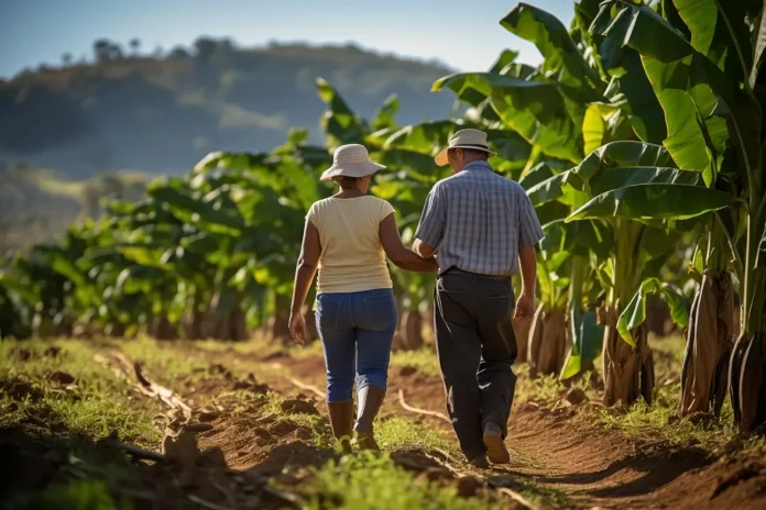 Funai lança chamada no Contrata+Brasil para comprar alimentos de agricultores indígenas no Tocantins.