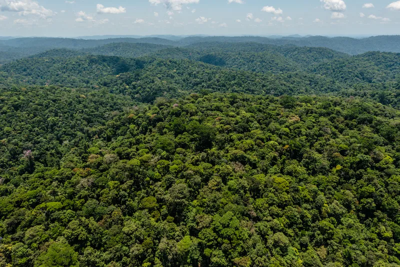O desmatamento na Amazônia caiu 10% no semestre, garantindo desmatamento zero na Amazônia em 80% das áreas protegidas. Confira os dados completos do Imazon.