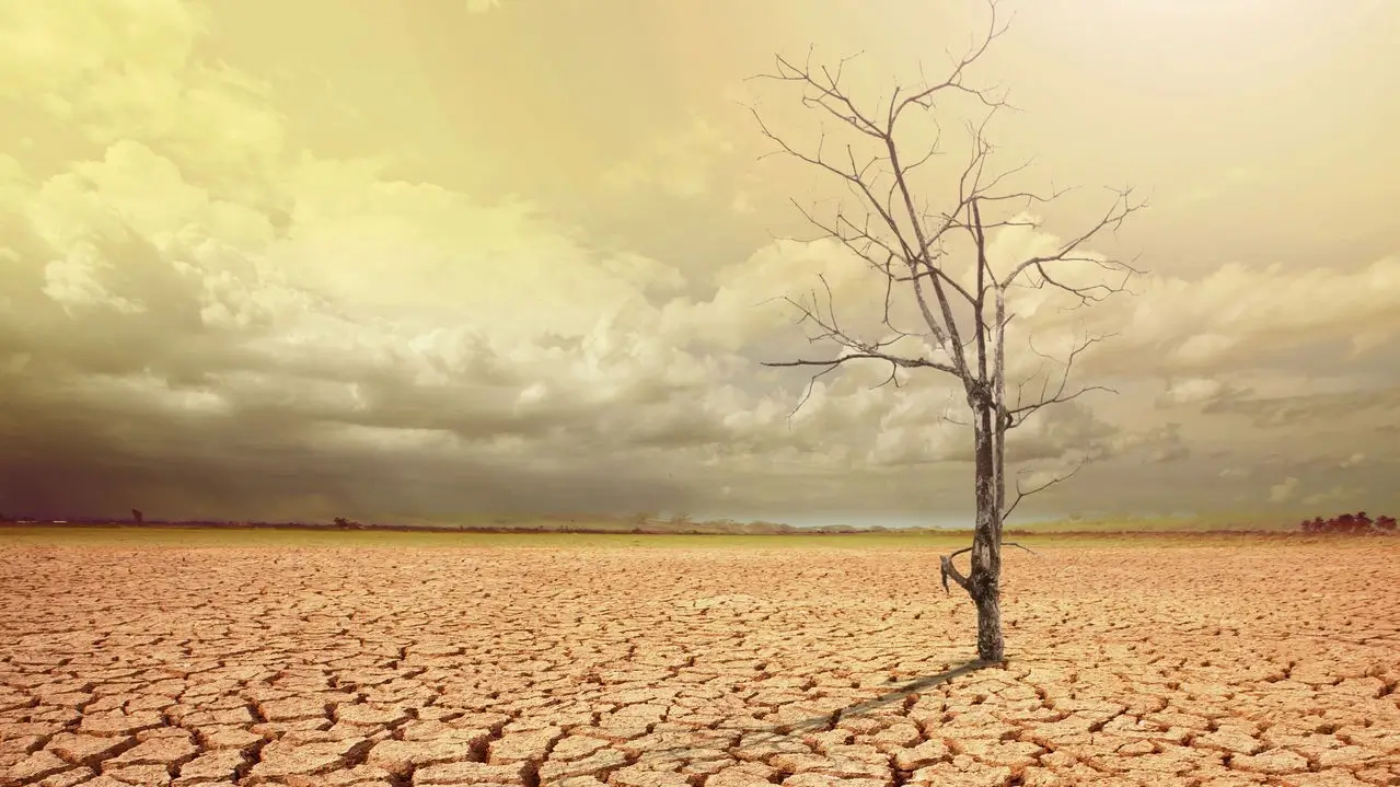 COP17 começa na Mongólia com foco em seca, degradação da terra, financiamento e metas para restaurar áreas degradadas.