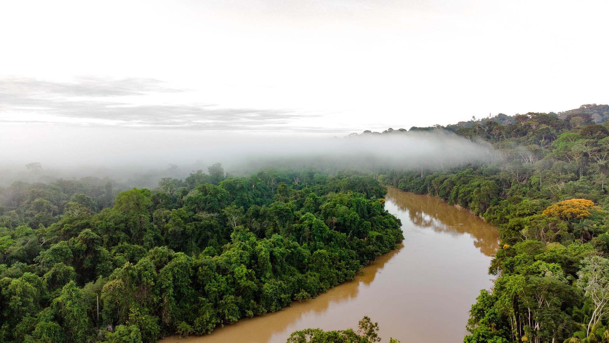 MPF dá 10 dias para União revisar regra sobre créditos de carbono na Amazônia e exige consulta prévia de povos indígenas e comunidades tradicionais.