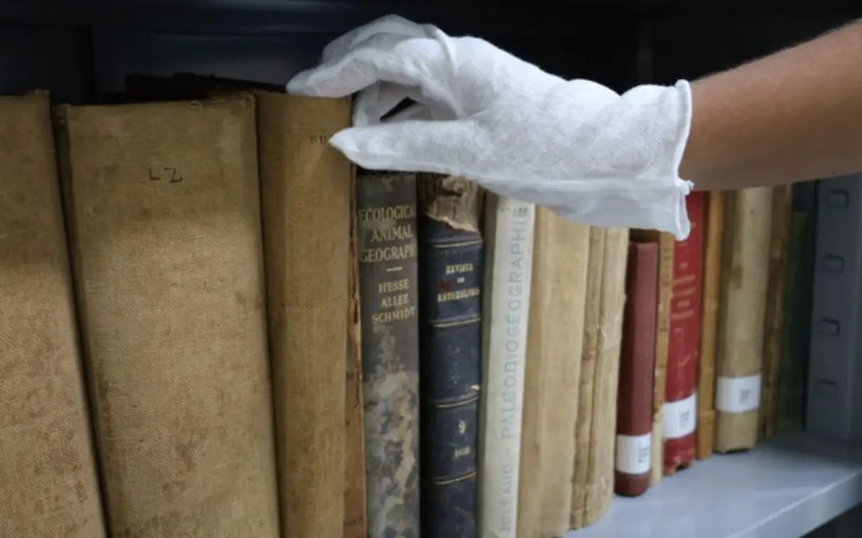 Biblioteca Henry Walter Bates, em Tefé, reúne 28 mil obras científicas, títulos raros e pesquisas sobre a Amazônia.
