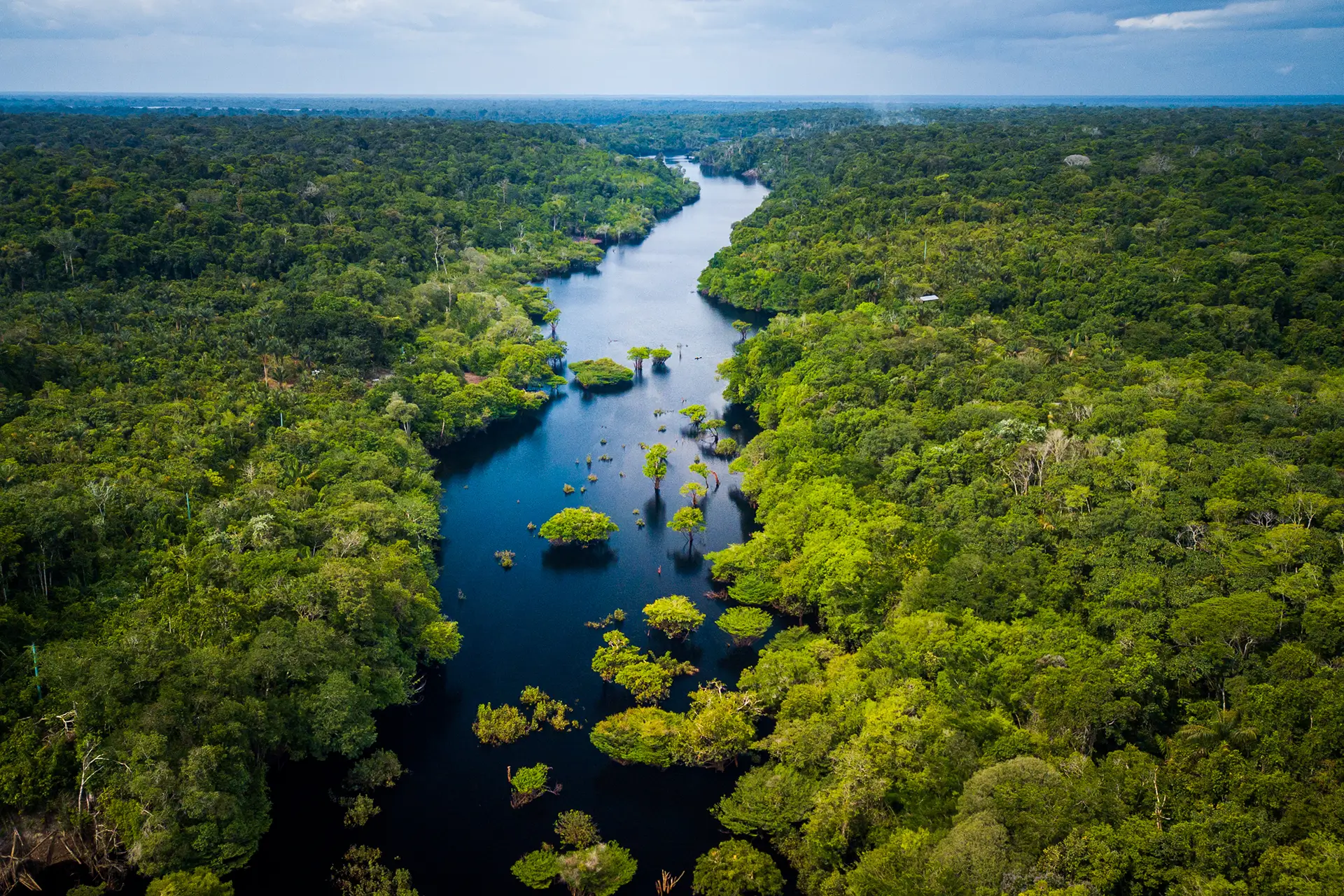 Indígenas e pesquisadores catalogam a biodiversidade da Terra Indígena Panará, onde quase 15 mil indivíduos já foram registrados.