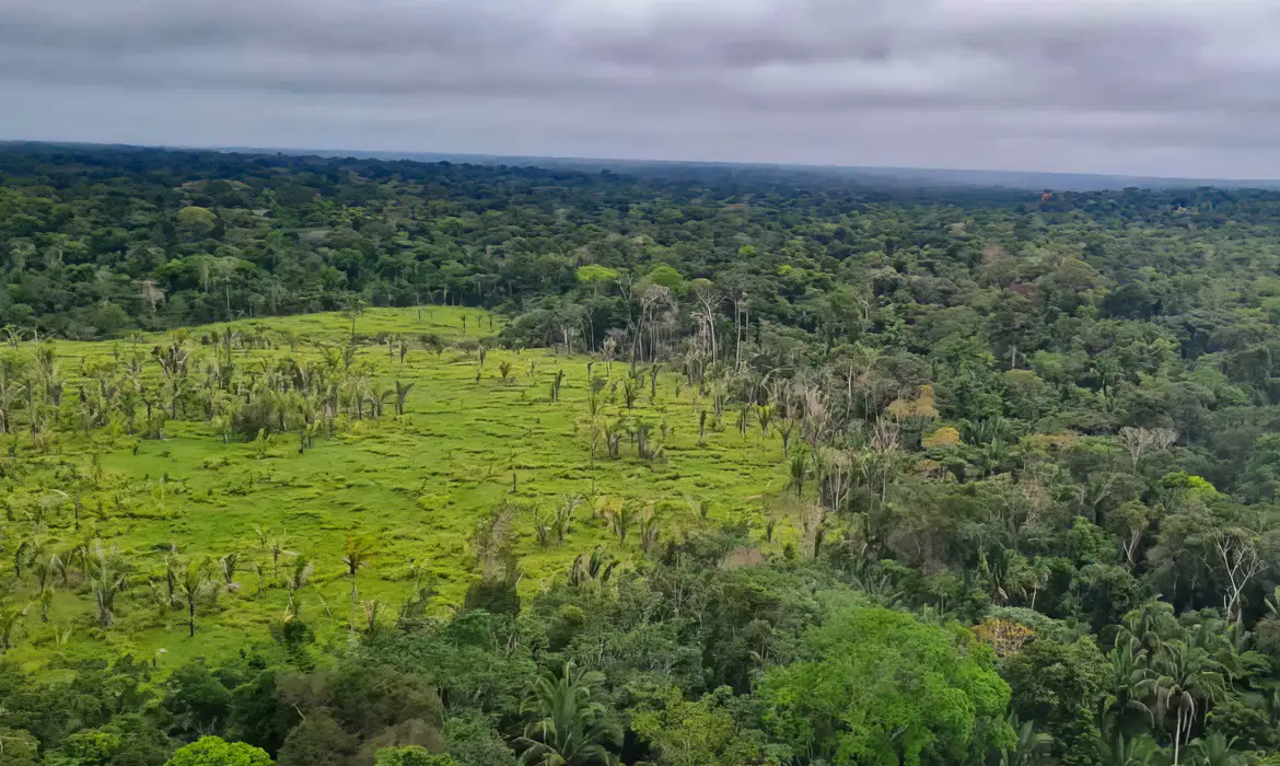 Desmatamento na Amazônia caiu 23% em um ano, e 60% das terras indígenas registraram desmatamento zero, aponta o Imazon.