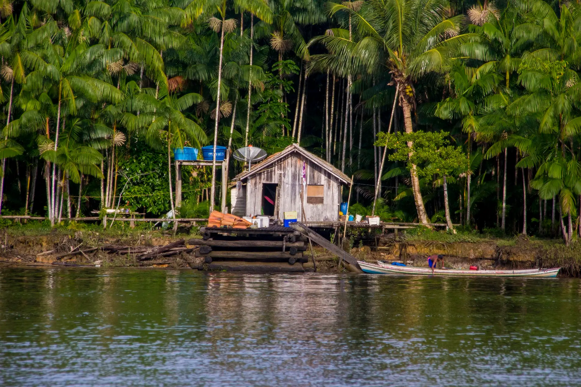 O Edital Floresta+ Amazônia abre inscrições para apoiar projetos comunitários na Amazônia Legal com recursos de até R$ 650 mil.