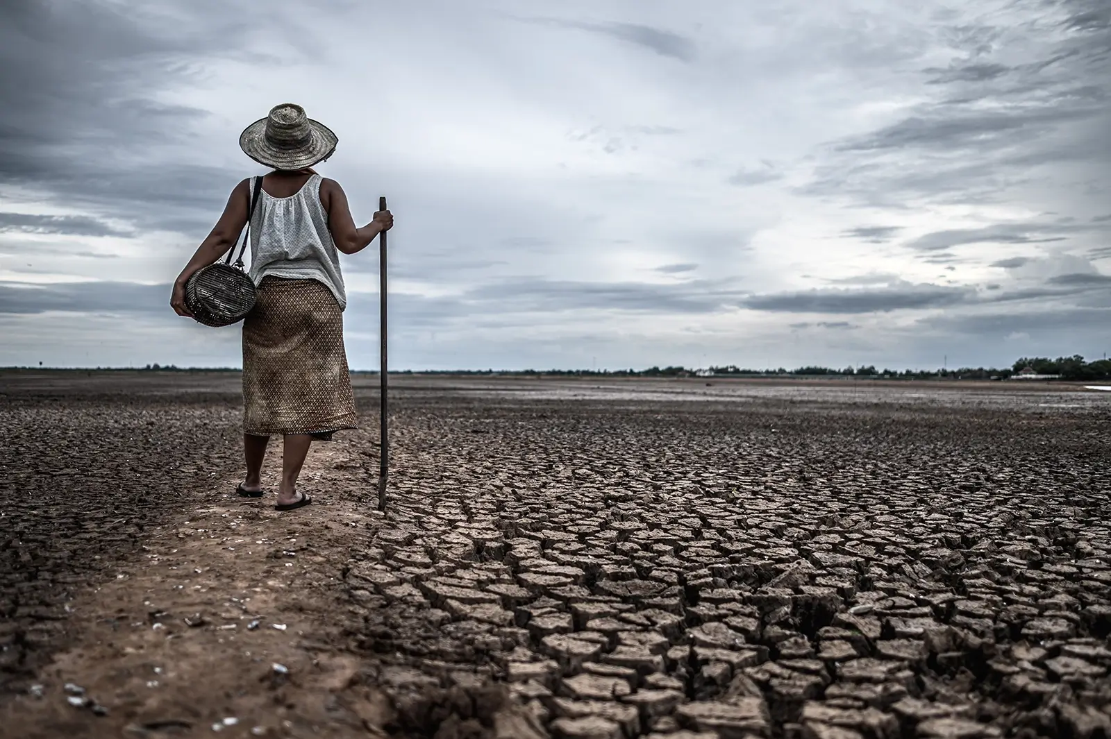 El Niño forte pode levar mais 49 milhões de pessoas à fome aguda e elevar crise alimentar global para 274 milhões, alerta relatório da ONU.
