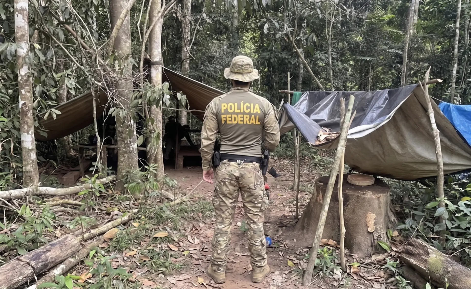 Polícia Federal combate extração ilegal de madeira na TI Rio Mequéns em Rondônia com apoio do Ibama e Força Nacional.