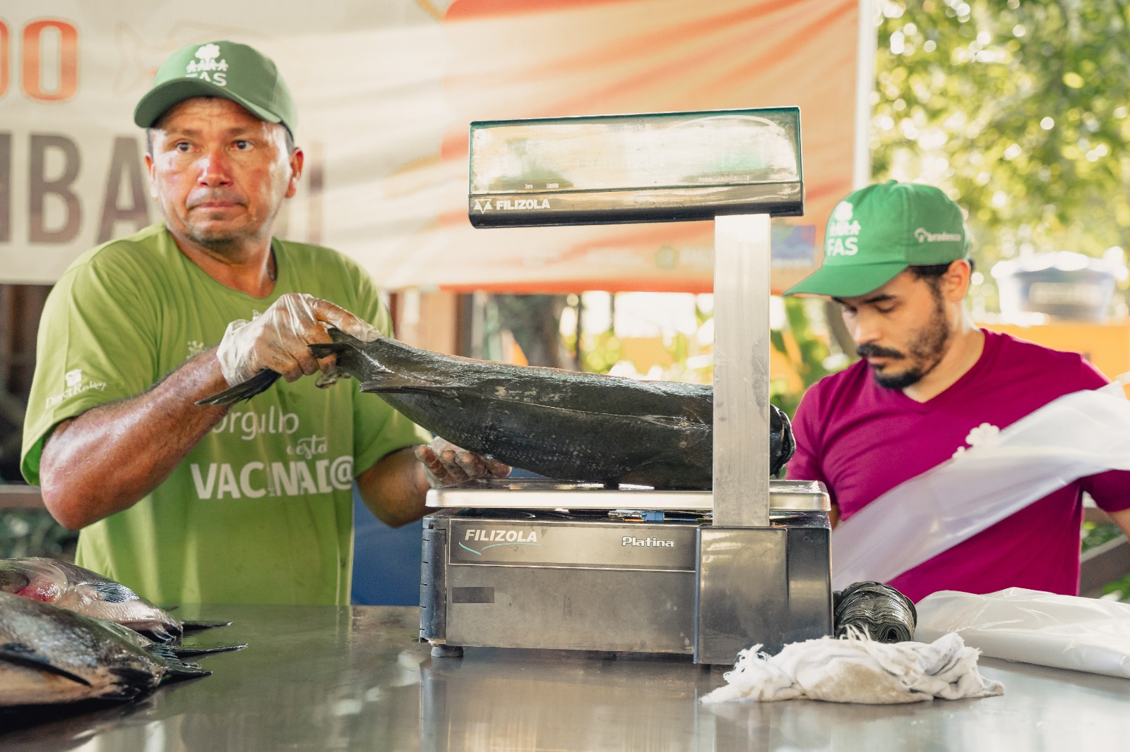 Feira do Tambaqui vende 8 toneladas de pescado manejado neste sábado em Manaus, com preços entre R$ 11 e R$ 20 o quilo.