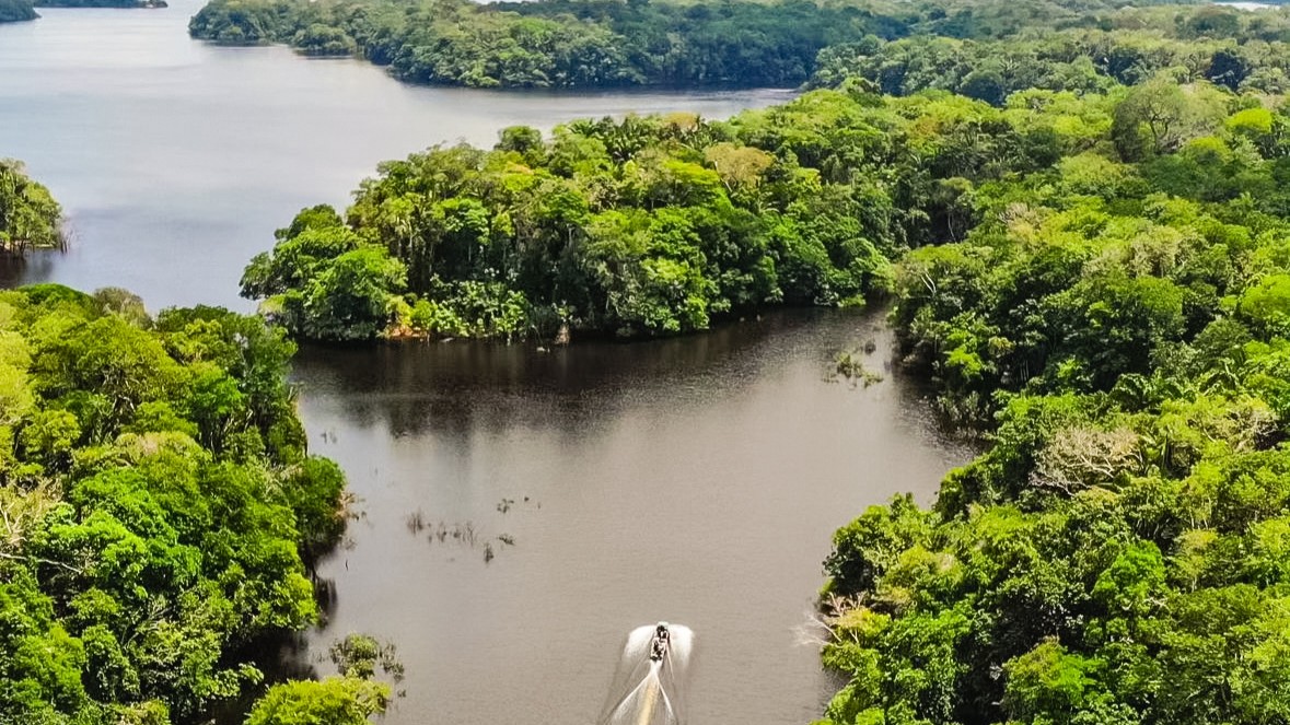 Festival AMÁ acontece em setembro, em Novo Airão, com inovação, bioeconomia, turismo, cultura e empreendedorismo.