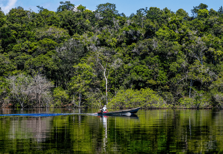 Sessão on-line nesta quinta esclarece dúvidas sobre o edital Floresta+ Amazônia e o apoio a projetos locais.