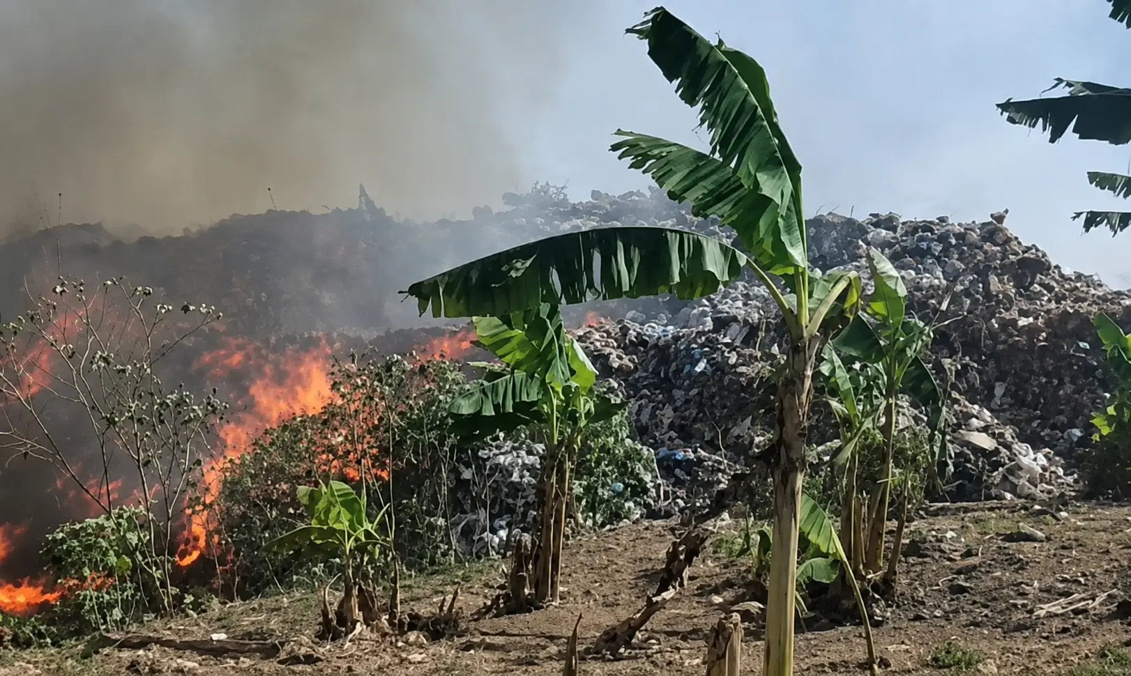 Incêndio em lixão de Manacapuru destruiu parte de uma plantação de bananas e avançou até os fundos de quintais de moradores.