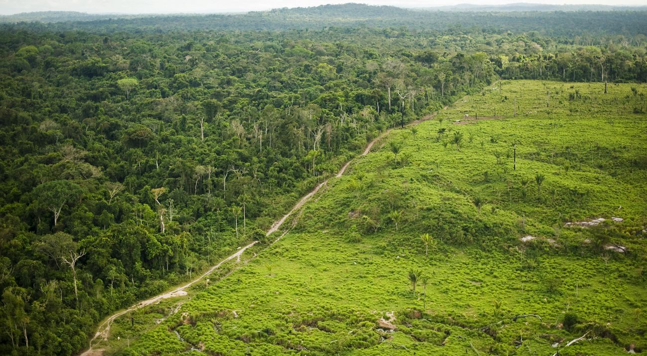 Desmatamento na Amazônia caiu 36,87% entre agosto de 2025 e julho de 2026 e registrou o menor nível da série histórica do Deter.