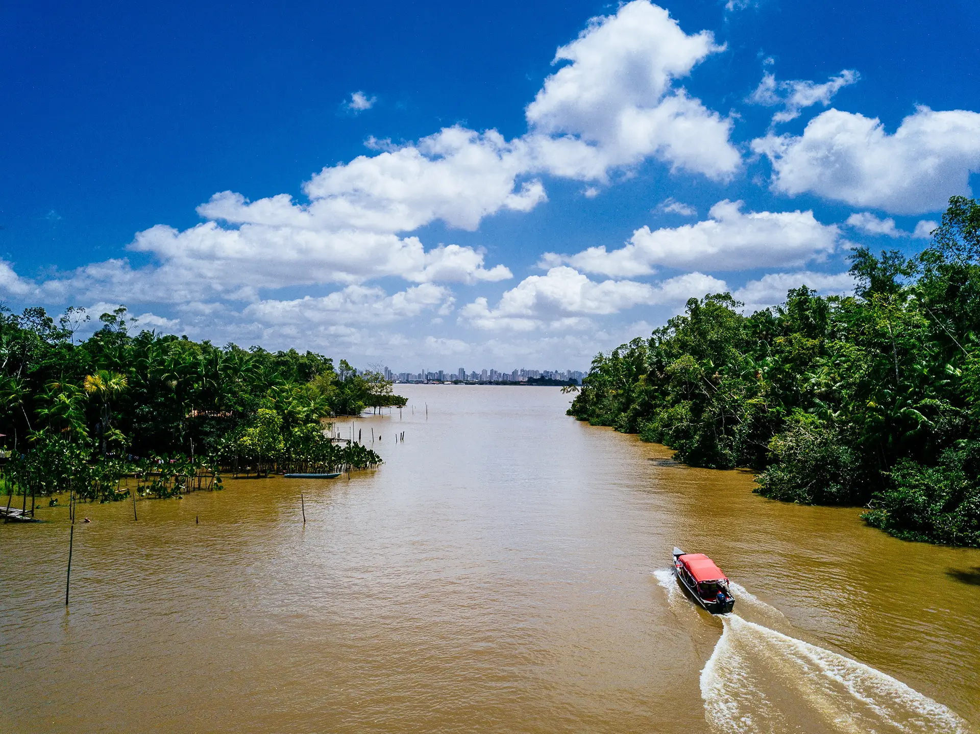 Floresta+ Amazônia abre edital de até R$ 650 mil para projetos comunitários. Inscrições seguem até 4 de setembro.