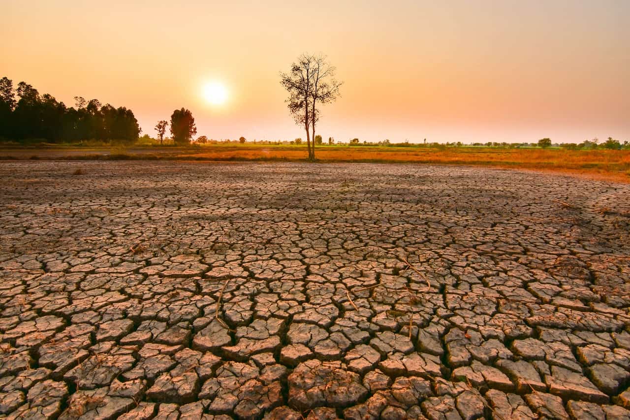 O fenômeno El Niño deve se intensificar com risco de seca severa na Amazônia e chuvas intensas no Sul. Confira o alerta dos órgãos federais.