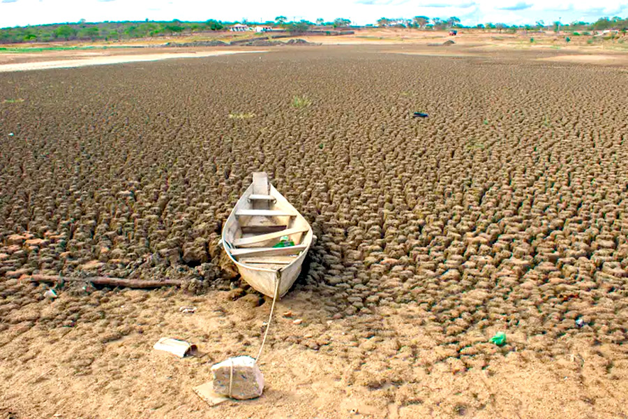 Brasil apresenta meta de restaurar 163 mil km² de terras degradadas até 2030 durante a COP17 de combate à desertificação.