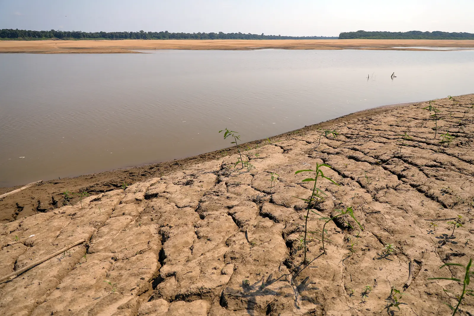 MP acompanha estiagem e El Niño em São Gabriel da Cachoeira e cobra ações para proteger comunidades e serviços essenciais.
