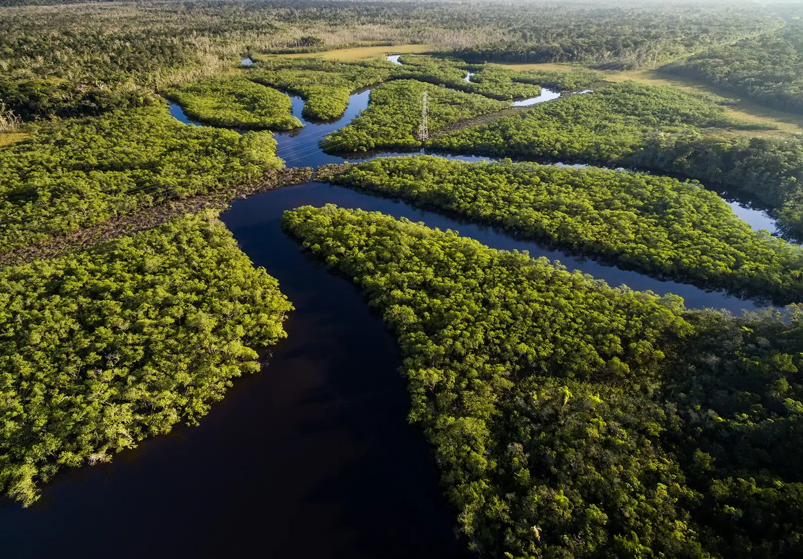 Governo cria novas reservas ambientais no Amazonas, amplia parque no Piauí e anuncia concessões florestais e aportes do BNDES para a Amazônia.