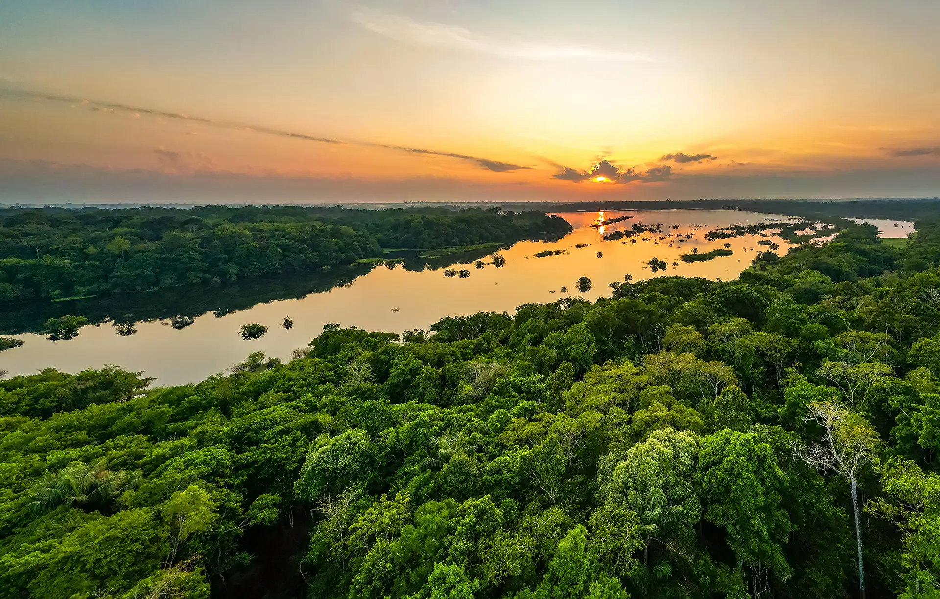 Reino Unido anuncia empréstimo de US$ 541 milhões ao Fundo Florestas Tropicais, elevando o TFFF a US$ 7,26 bilhões.