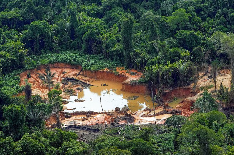 Garimpo ilegal no Amazonas leva ex-cacique e gerente à Justiça por exploração na Terra Indígena Tenharim Marmelos.