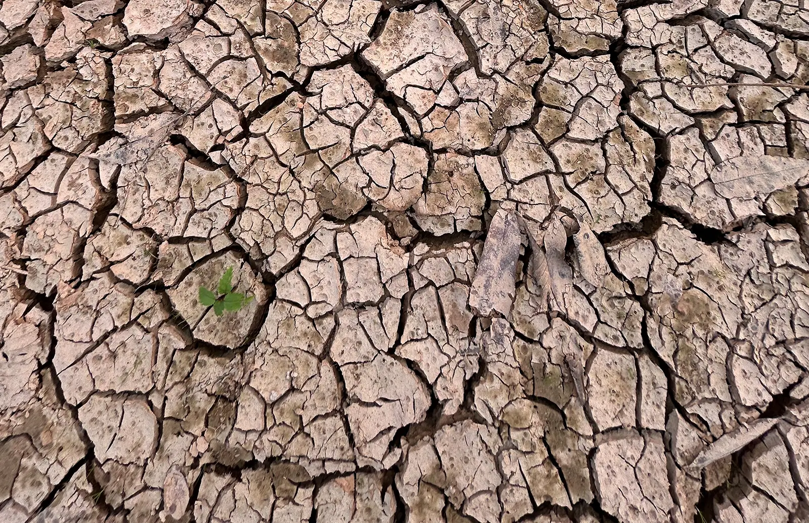 MPAM acompanha medidas contra o El Niño em Novo Aripuanã e cobra ações para enfrentar estiagem, queimadas e incêndios.
