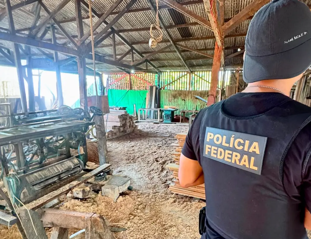 Polícia Federal e Ibama fazem operação contra crimes ambientais e investigam extração e comércio ilegal de madeira em terra indígena no Amazonas.