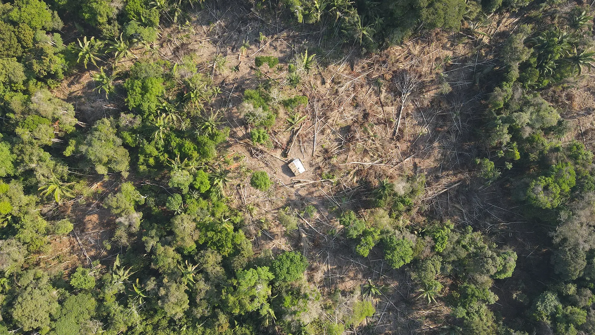 Queimadas no Amazonas preocupam o MPC-AM, que recomenda reforço de ações contra fogo, fumaça, calor e estiagem.