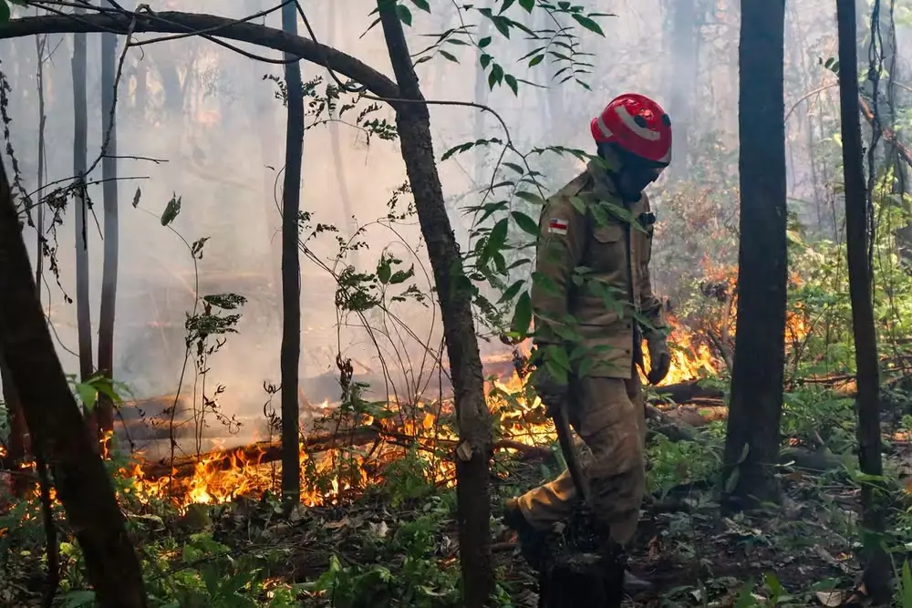 Incêndio em Itacoatiara já atingiu mais de 200 hectares e ameaça casas, plantações e comunidades na região do Rio Arari.