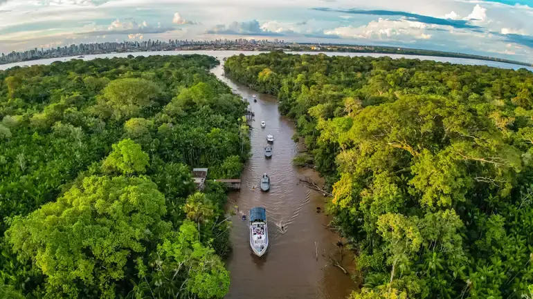 Fundo Florestas Tropicais recebe apoio da Holanda, que pretende investir até US$ 500 milhões em dez anos na conservação ambiental.