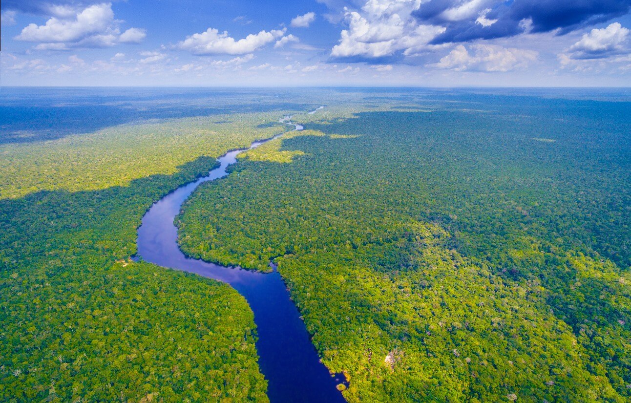 Fome de Futuro abre inscrições gratuitas para negócios sustentáveis na Amazônia. Programa apoiará até 15 iniciativas até setembro de 2027.