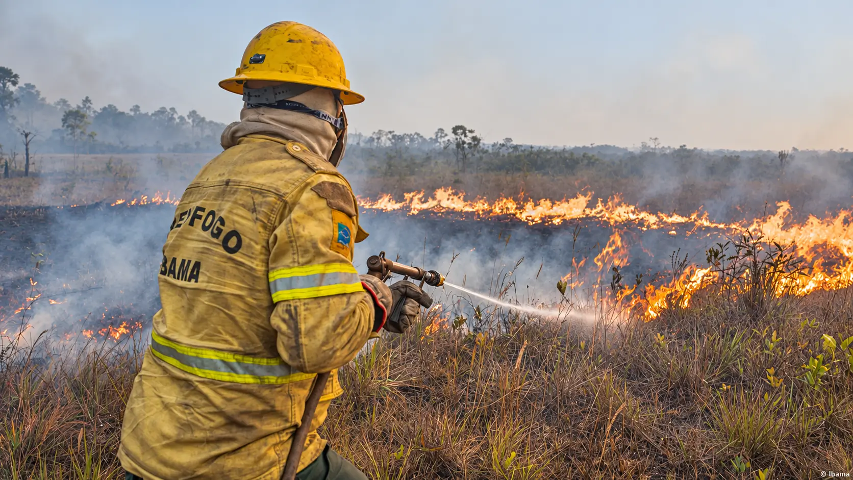 Governo investiga incêndios no Amazonas e possível ação organizada. Força-tarefa abriu 120 procedimentos e mobiliza aeronaves e brigadistas.