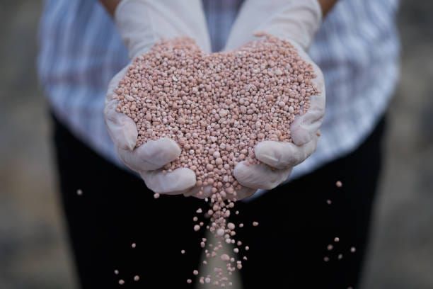 Teste com inteligência artificial no projeto Potássio Autazes eleva concentração de 13% para 27% e pode ampliar a produção mineral no Amazonas após novos estudos.