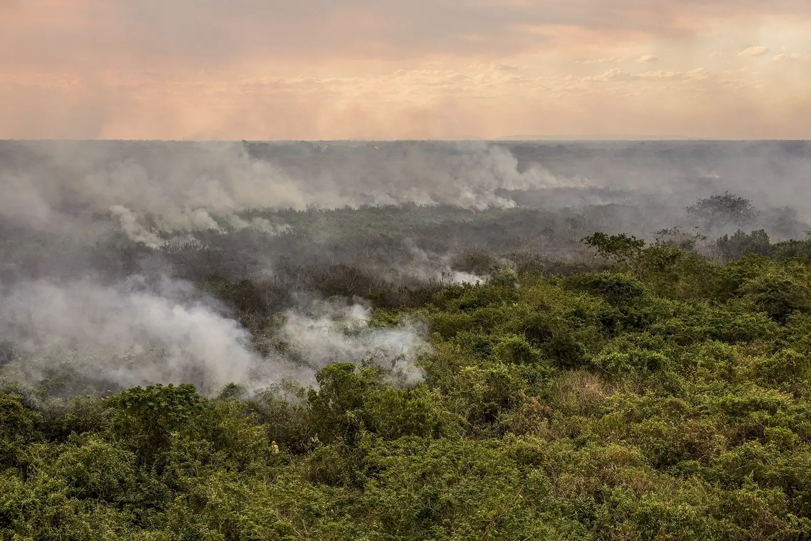 Governo libera R$ 68,6 mi para amenizar a seca no Norte. Recursos atendem Amazonas, Pará e Acre no combate a incêndios.
