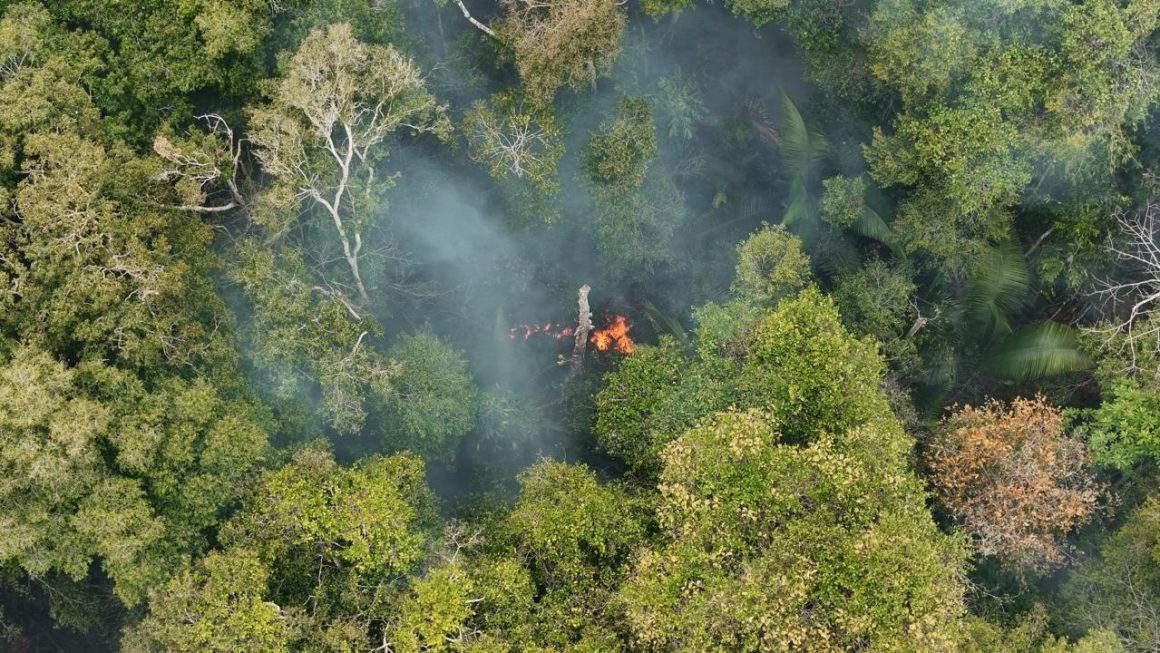 Queimadas no Amazonas mobilizam a Defensoria Pública e outros órgãos em ações conjuntas para reduzir os impactos dos incêndios e da estiagem.