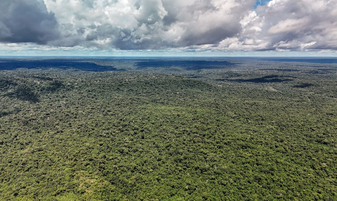 Desmatamento na Amazônia atingiu o menor nível em 41 anos, com 693 mil hectares em 2025. MapBiomas alerta para avanço da agropecuária e mineração na região.