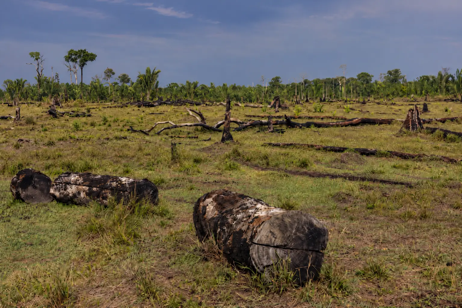 Desmatamento na Amazônia cresce 9% em setembro de 2026, aponta Inpe. Cerrado registra queda de 30% e os dois biomas acumulam redução no ano.