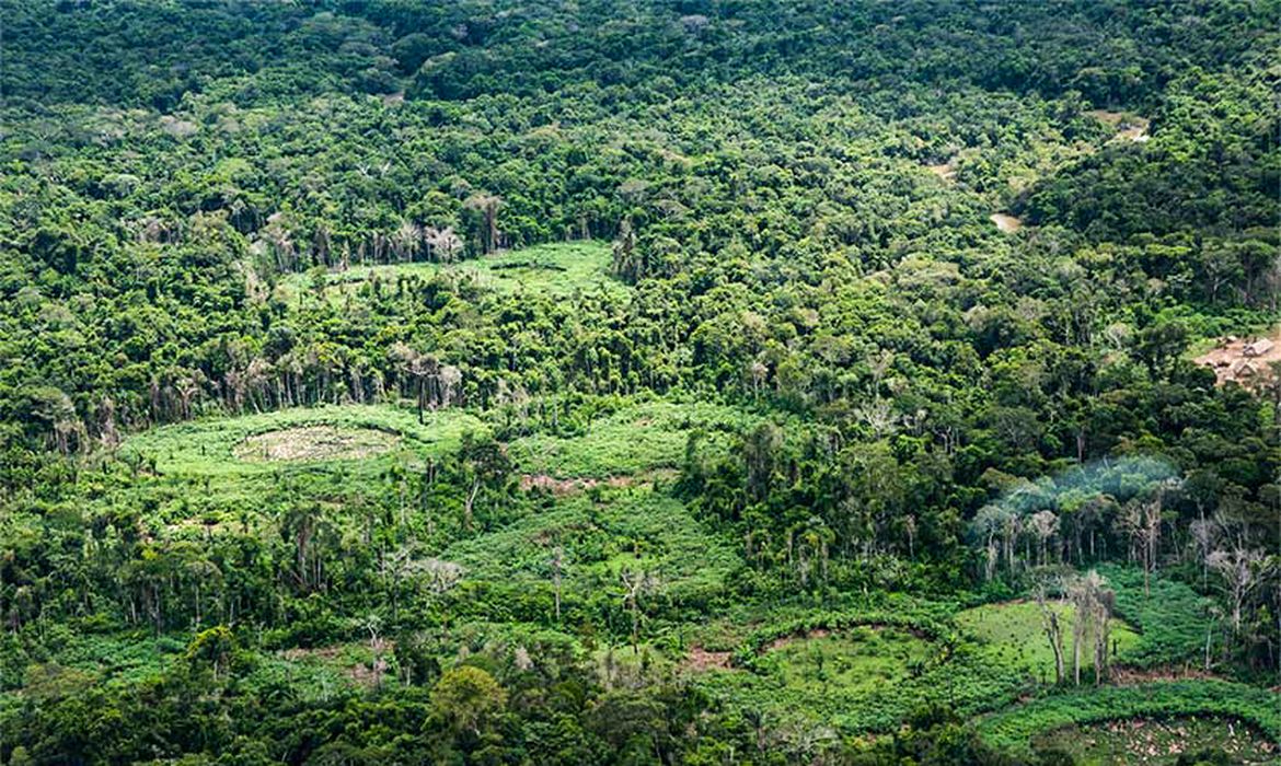 Bioeconomia na Pan-Amazônia reúne 232 políticas públicas de nove países em plataforma que busca ampliar a cooperação e o acesso ao financiamento.